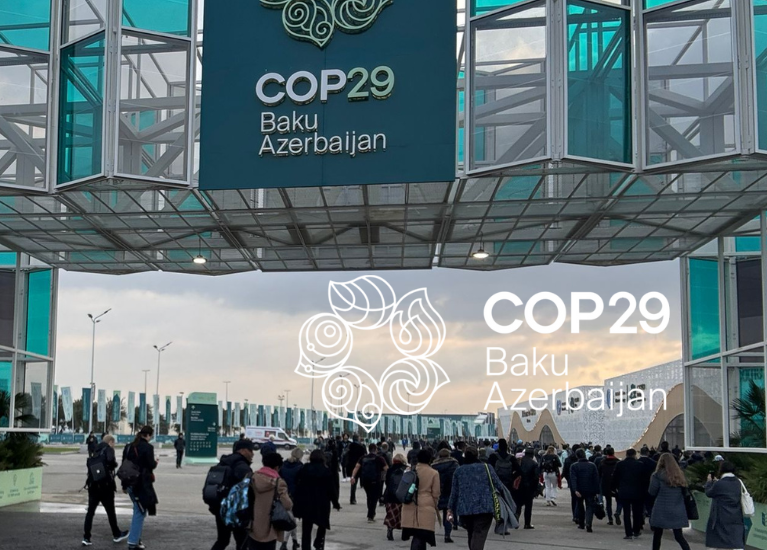 UCD One Health Centre invited to address COP29 in Baku, Azerbaijan.  November 2024.